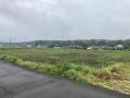 菊陽町原水土地